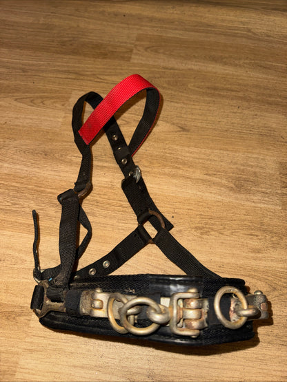 Eclipse Pony Lunging Cavesson Training Aid Second Hand Horse Tack #1