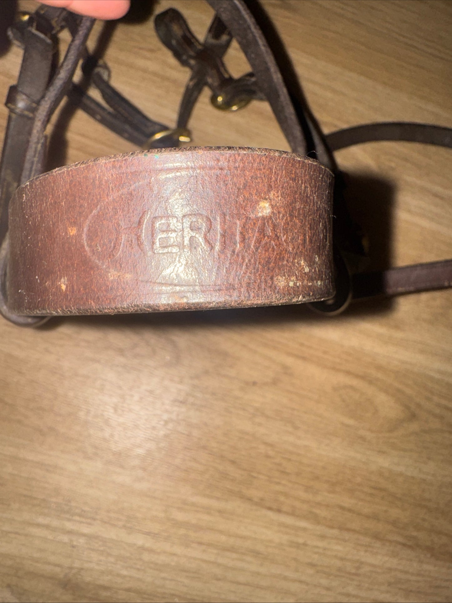 Heritage English Leather Inhand Bridle – Pony Size Havana | Showing & In-Hand Bridle
 #91