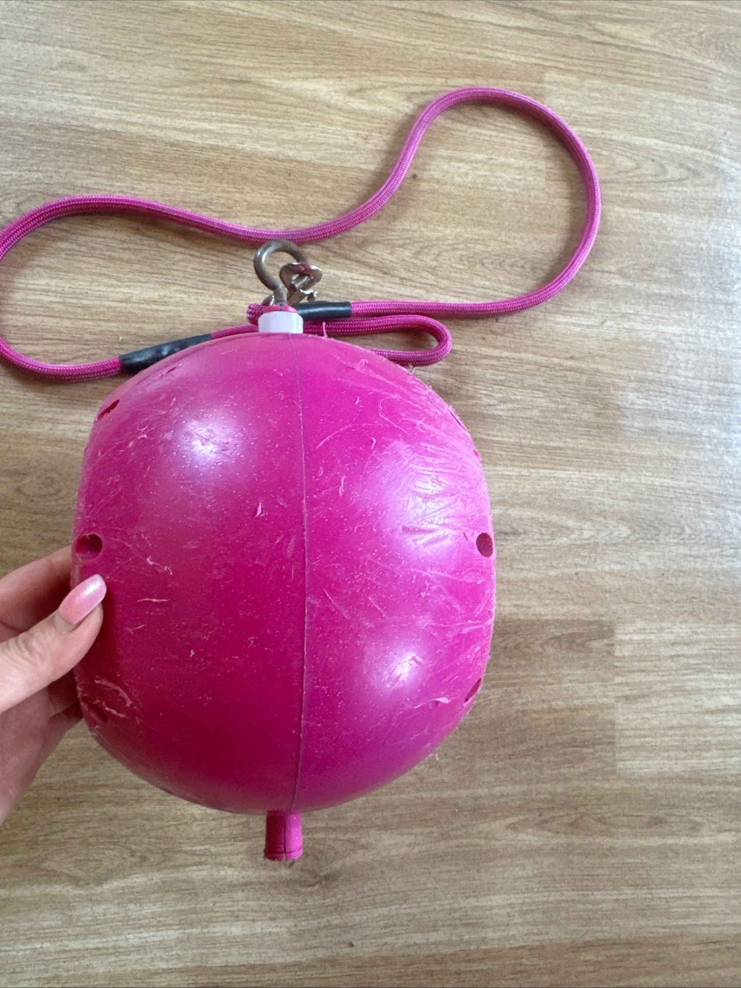Hot Pink Likit Ball Holder Stable Treat Horse Ball Pony Play