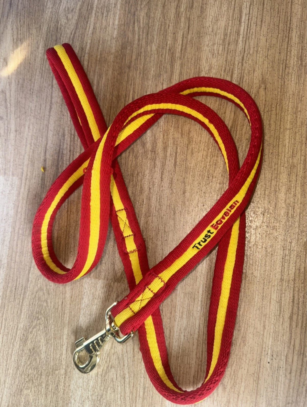Red Yellow Equine Flat Lead Rope Or Dog Lead 1.2m - SOFT TOUCH