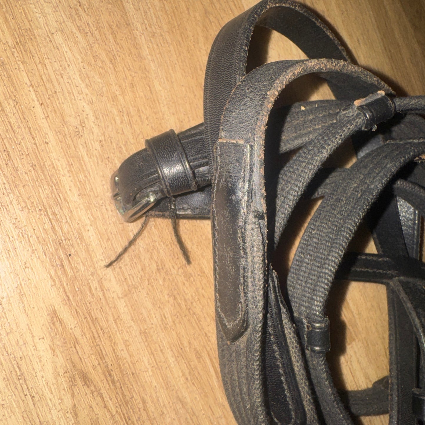 Kieffer Continental Webbing Black Reins Full Size 54” | Second Hand Tack #777
