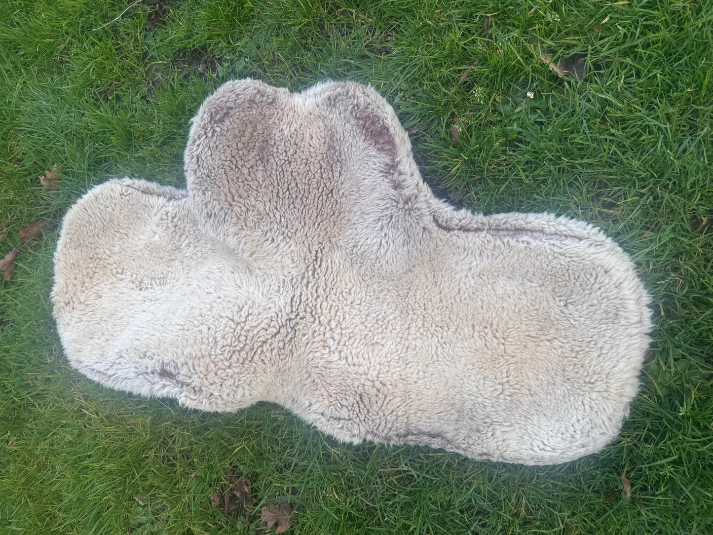 Mattes Gold Wool Lined Numnah - Full - Dressage Cut