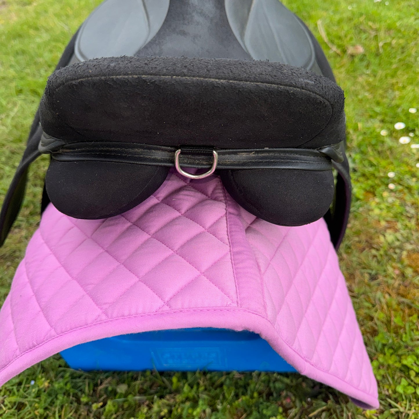 Thorowgood Griffin 17.5” XW Saddle | Sythentic Easy Wipe Clean #501