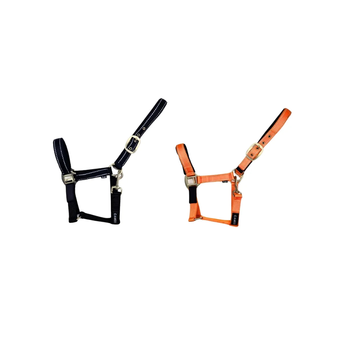 Cameo Safety Headcollar
