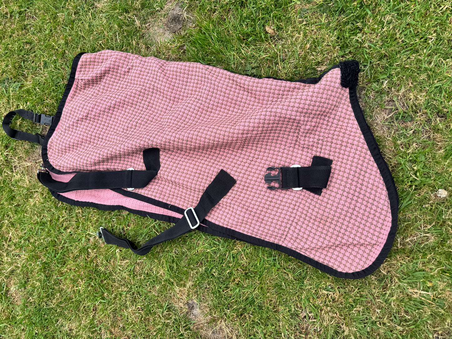 3’3  Waffle Pink Rug  Stable Cooler Travel Before Shows Mini Shetland Pony Foal