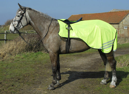 Rhinegold Yellow Mesh Exercise Sheet