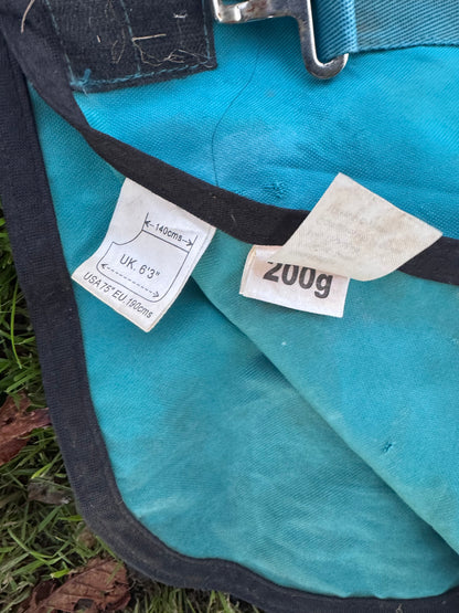 Amigo 6’3 200gm Turnout Rug