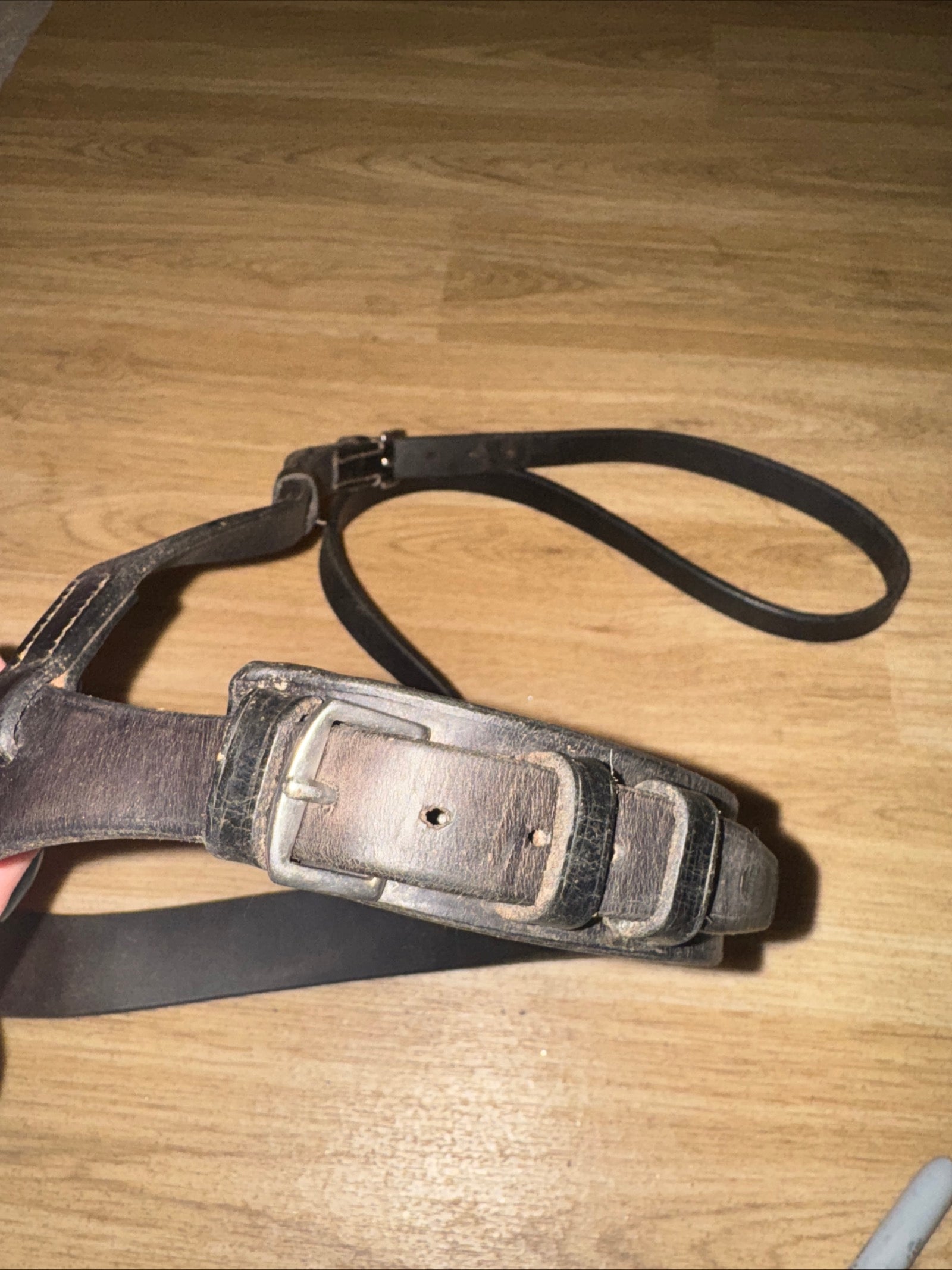 Jeffries Cob Brown Hunter Noseband #769