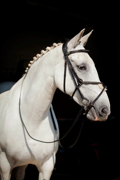 Eco Rider Galway v2.0 Bridle