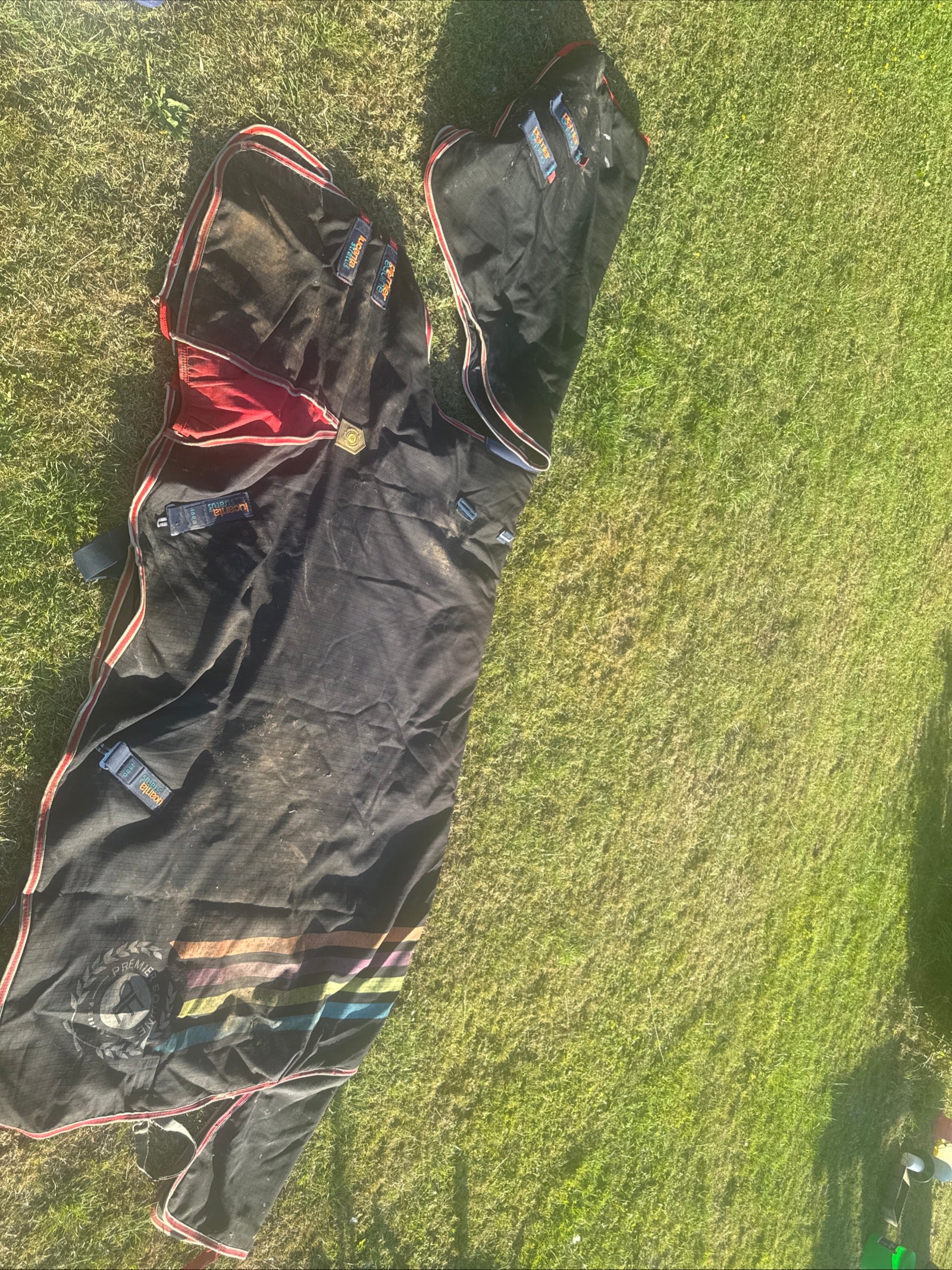 Premier Equine Lucanta Stratus 450gm 6’6 Turnout Rug