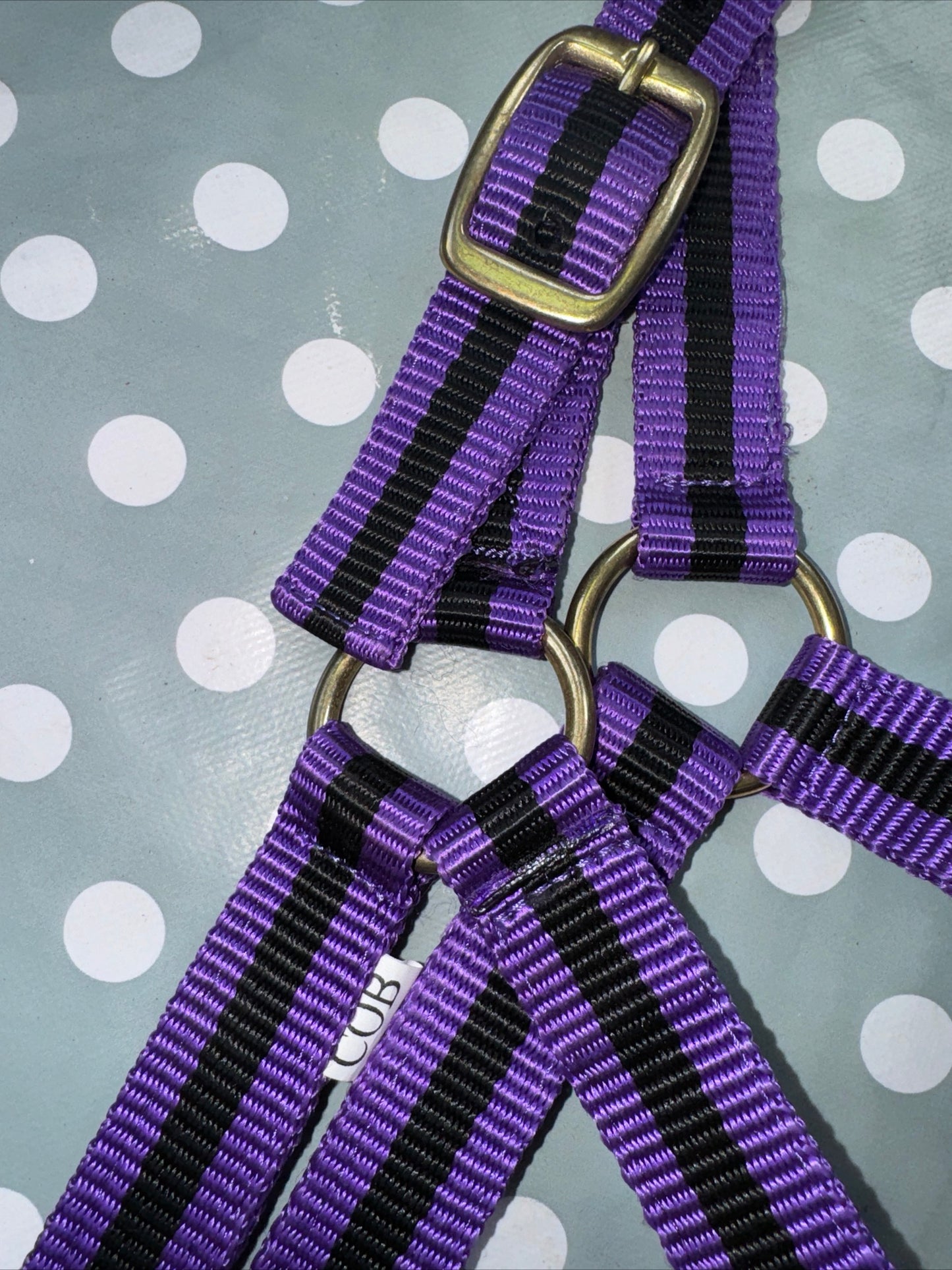 Purple New Cob Headcollar