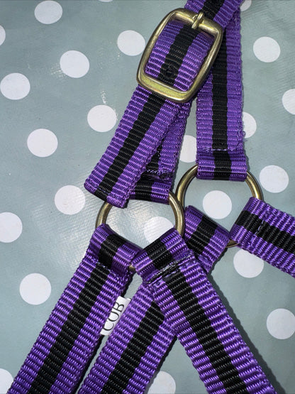 Purple New Cob Headcollar