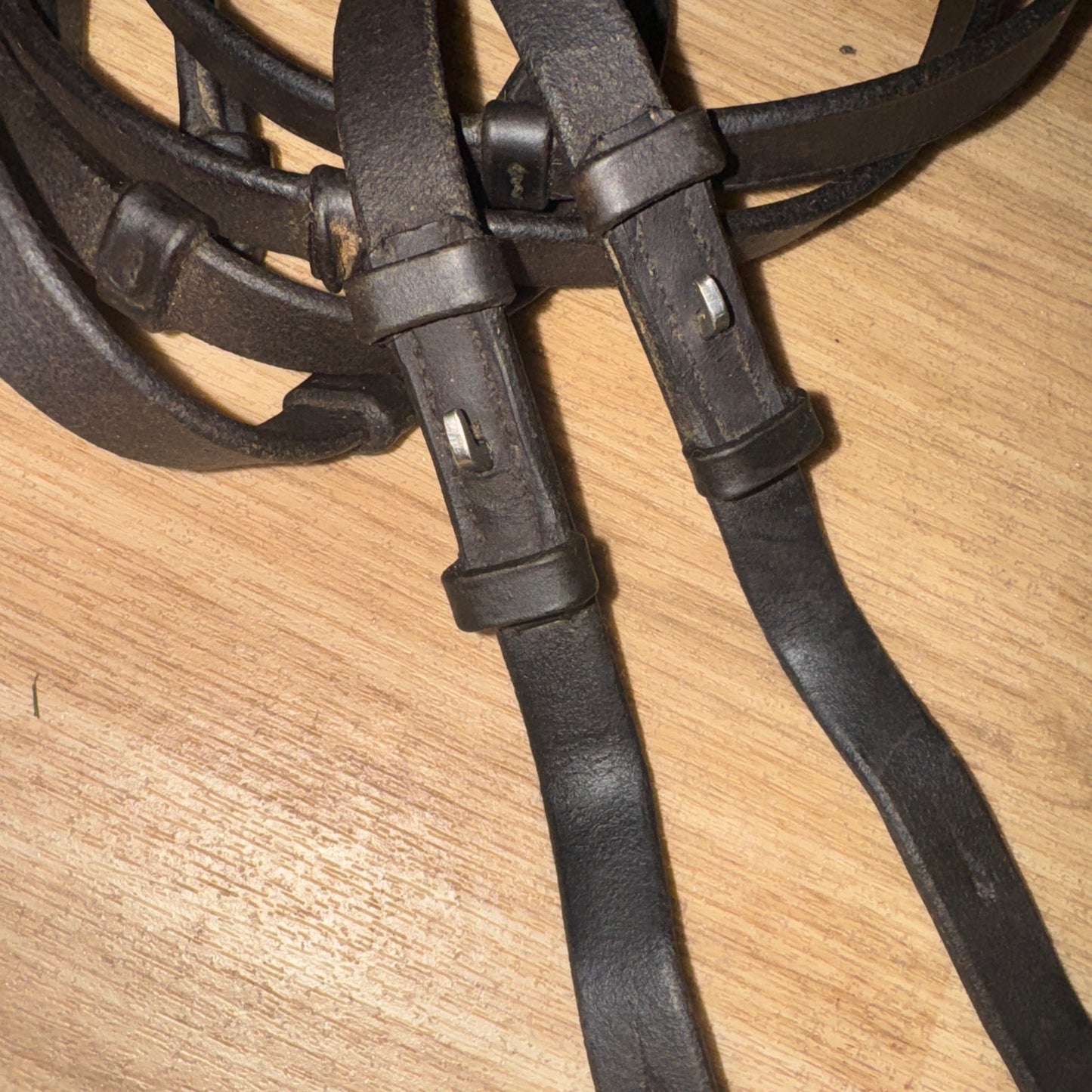 Plain Leather Continental XF Reins #87