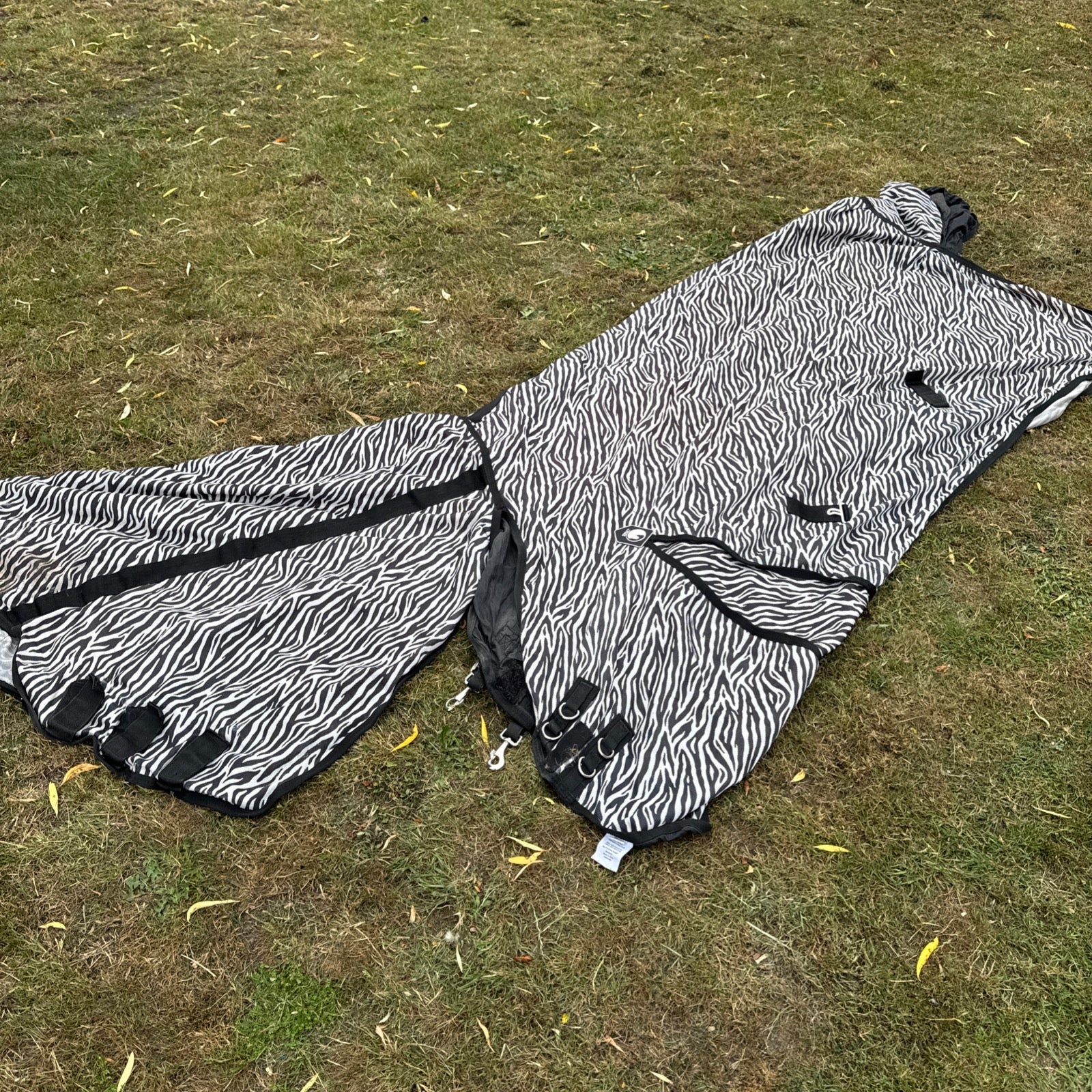 Big Horse Shop Epic 7’3 Broad Fit Fly Rug - Heavy Horse