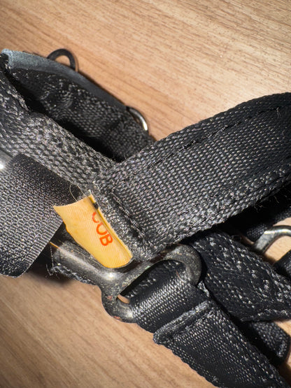 Cob Soft Web Lunging Cavesson - Free Post