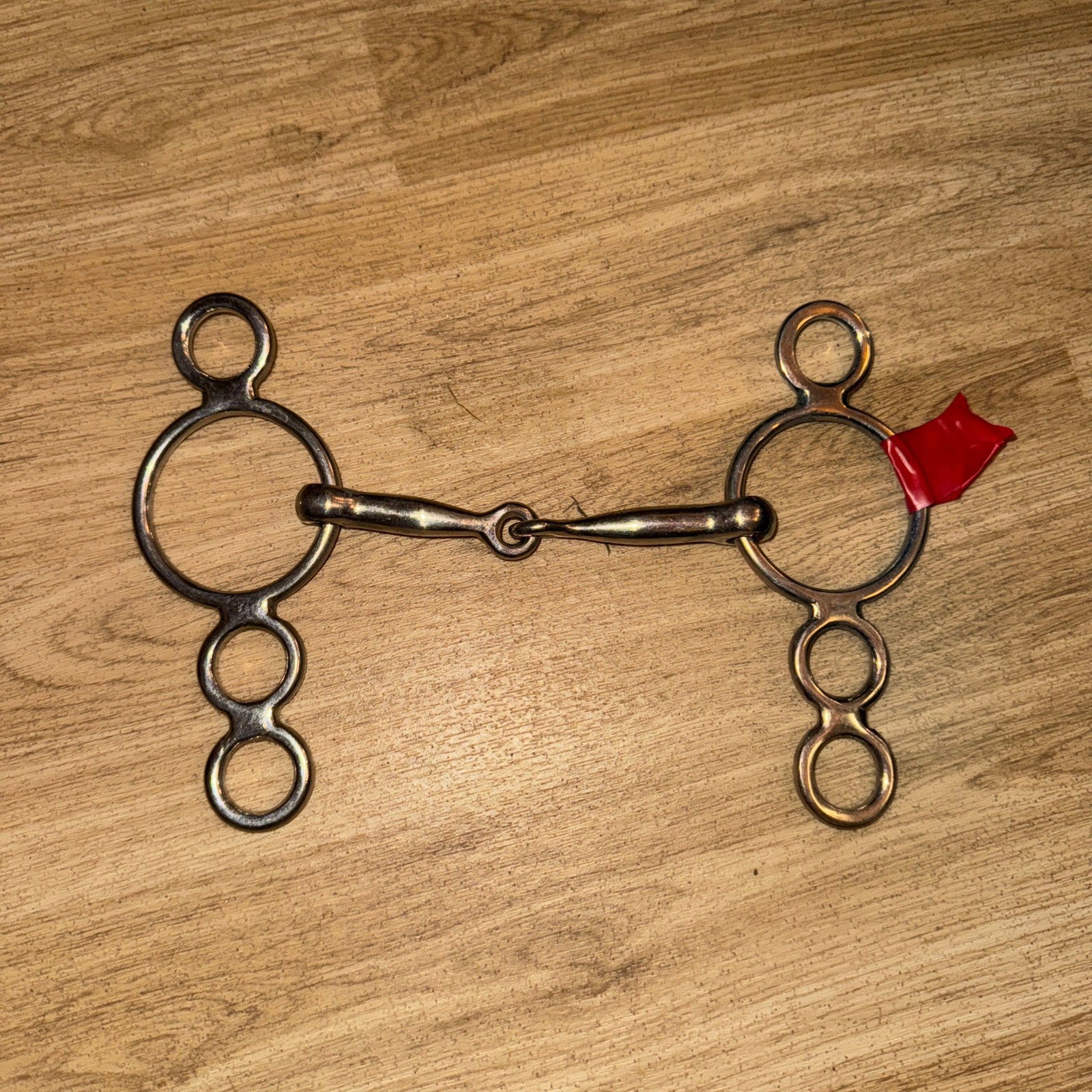 4.5” Bubble Gag - Dutch 3 Ring - PONY RINGS