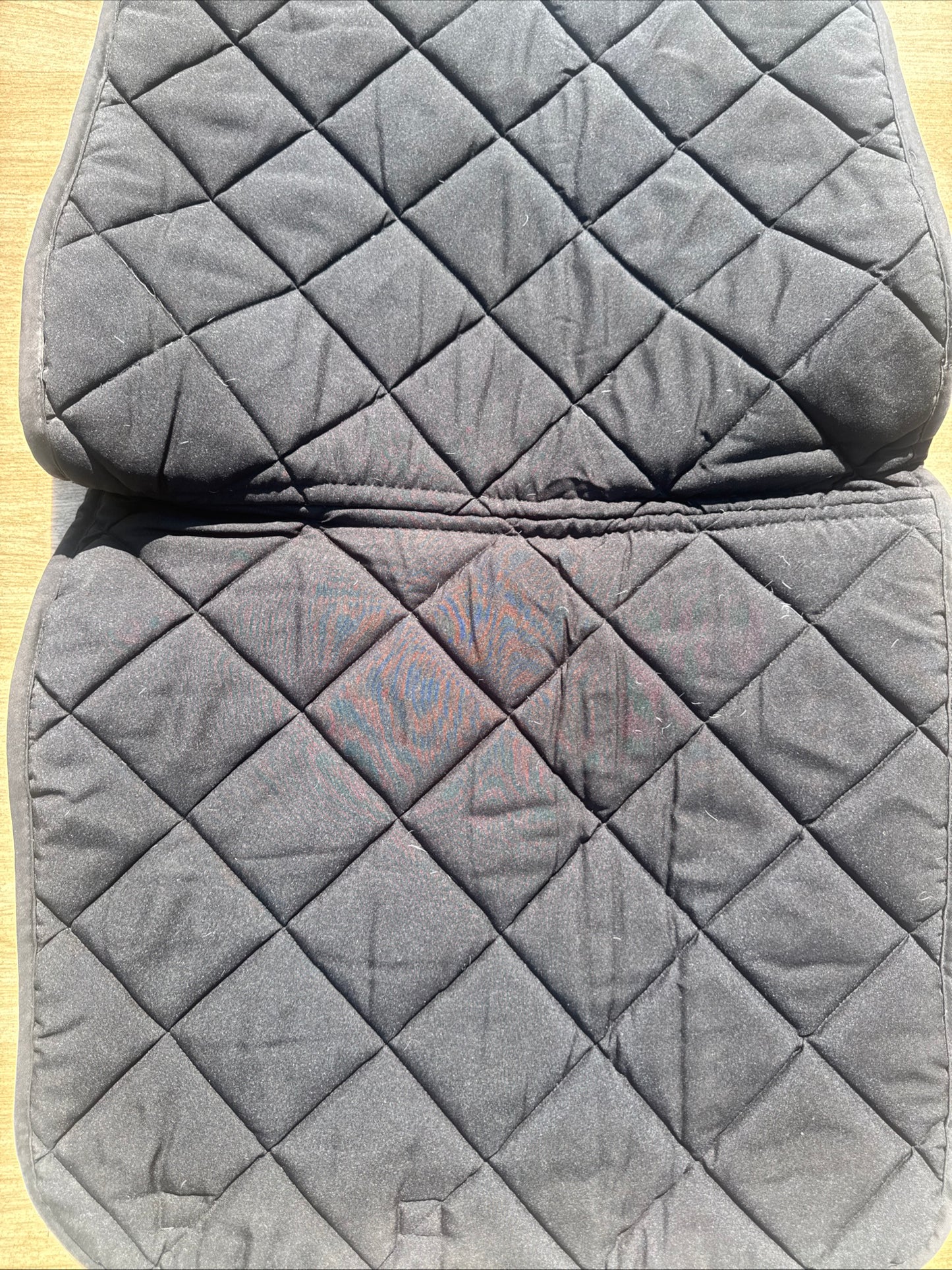 Dark Horse Equestrian Zebra Full Size Dressage Square Saddle Pad | 2nd Hand Tack