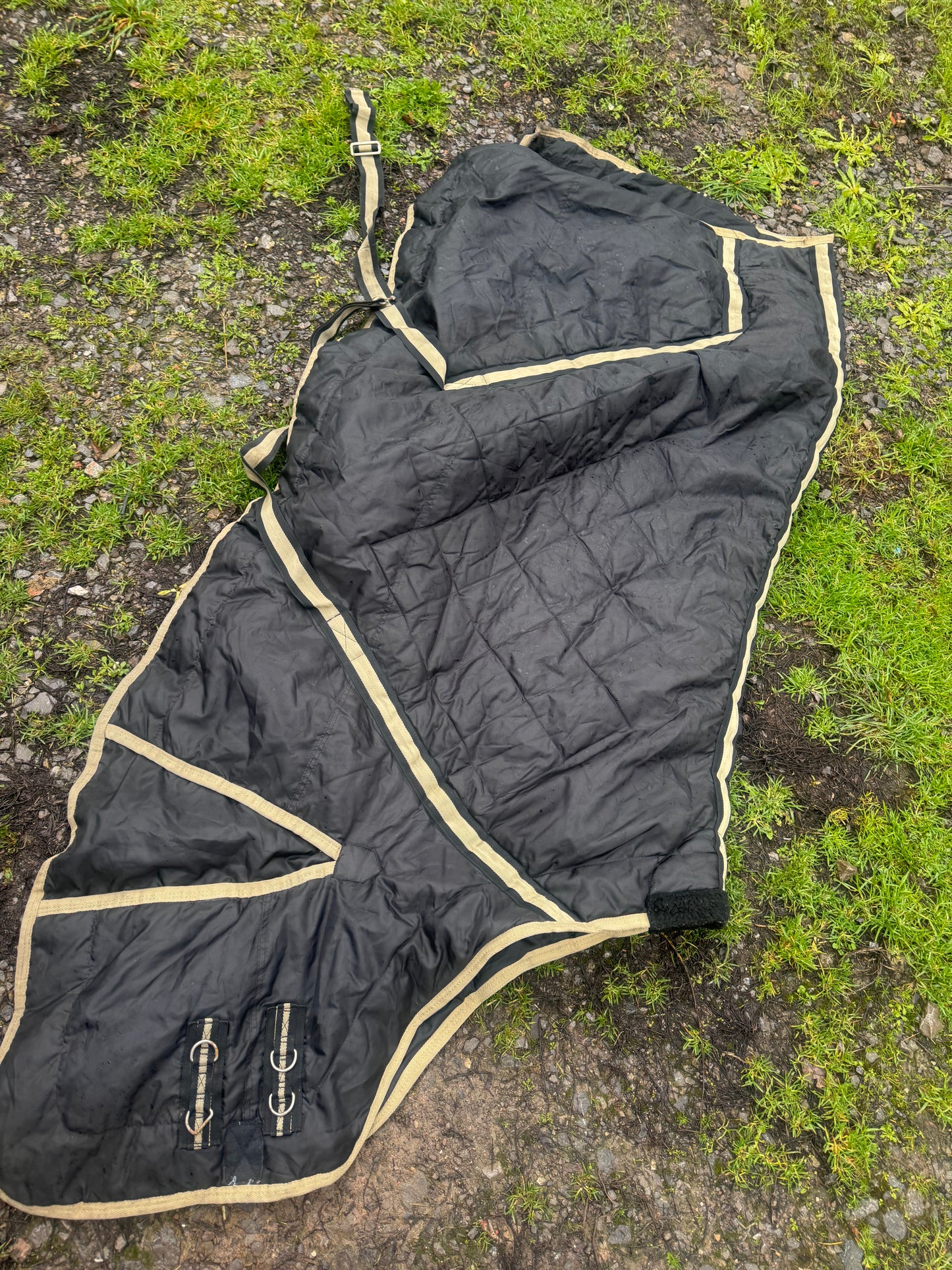 Kadence 6’3 Middleweight Stable Rug