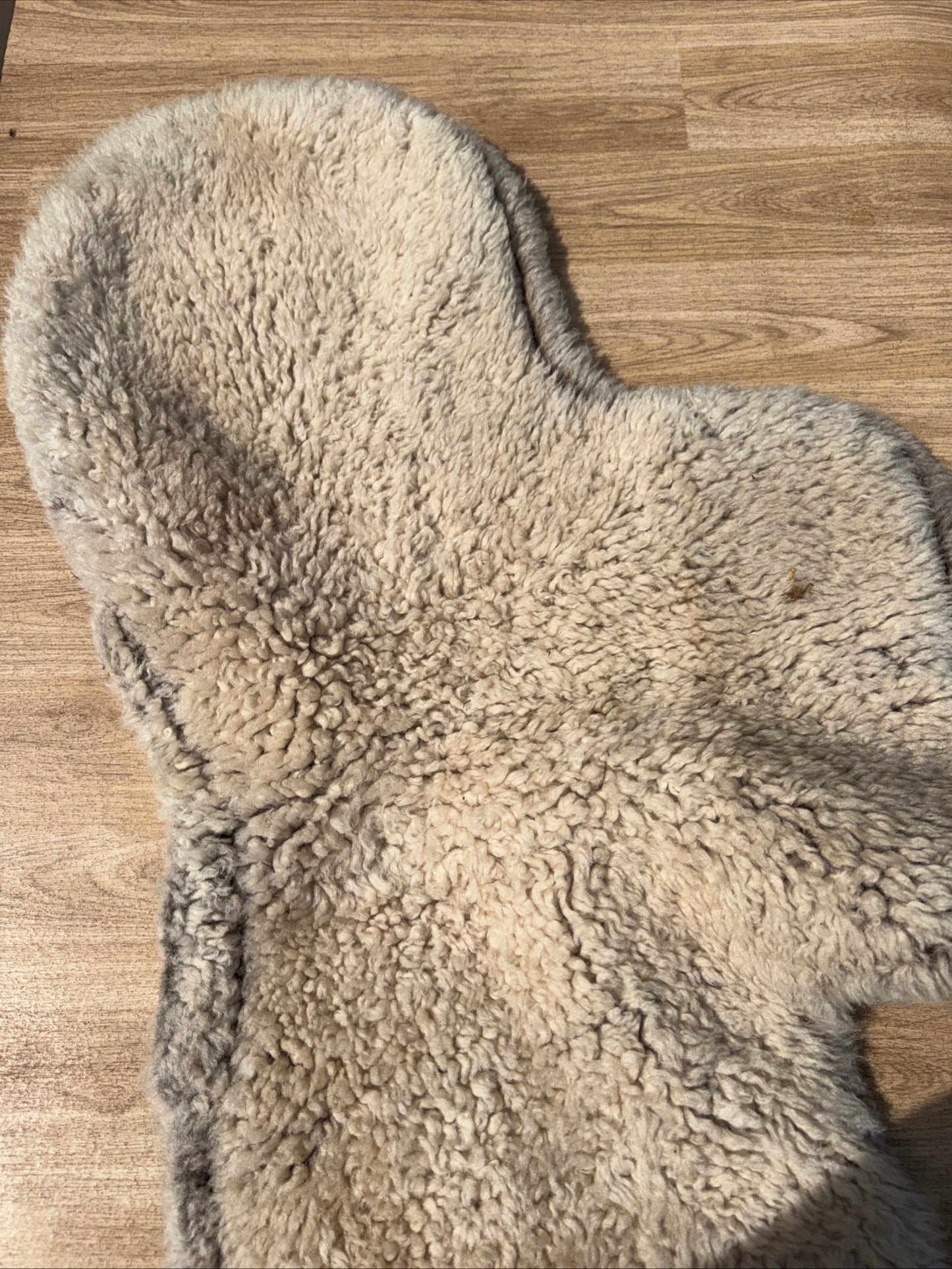 Mattes Gold Sheepskin Wool Gp Numnah | Size Full Second Hand Tack Horse