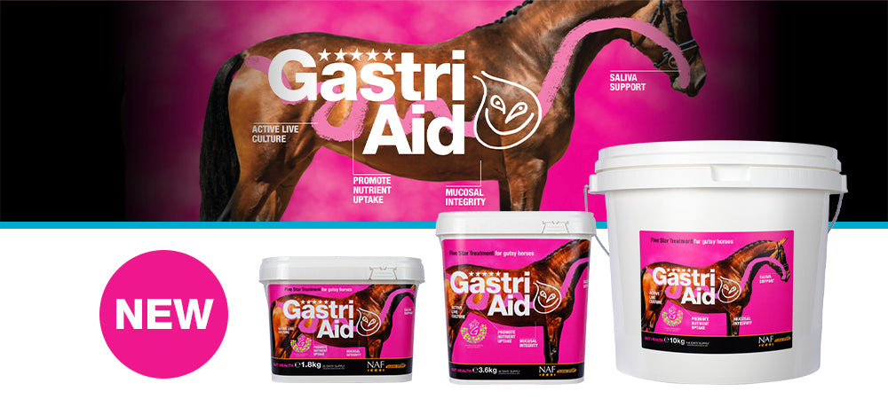 Naf Gastri Aid
