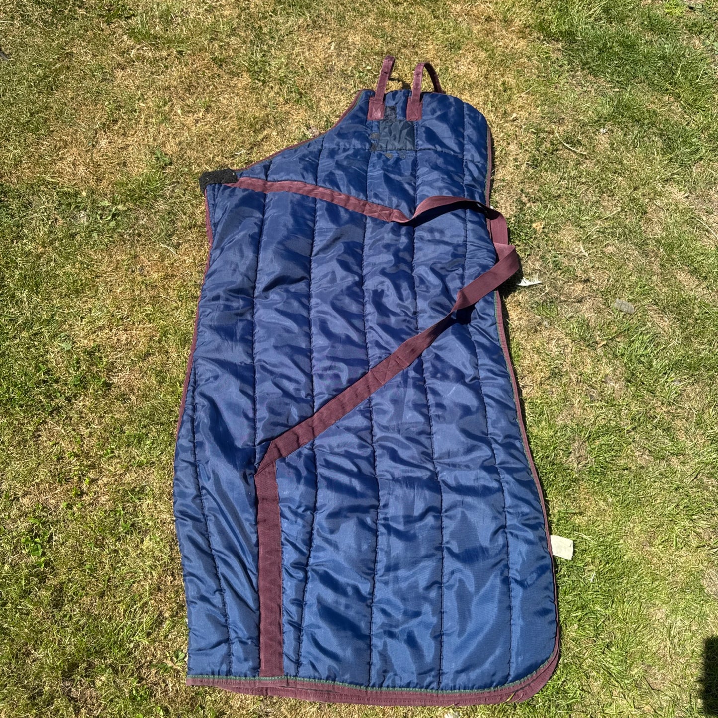 Masta 5’6 250gm Stable Rug - Free Postage