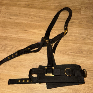 GENUINE Equiami Cob Size Lunging Cavason - FREE Postage