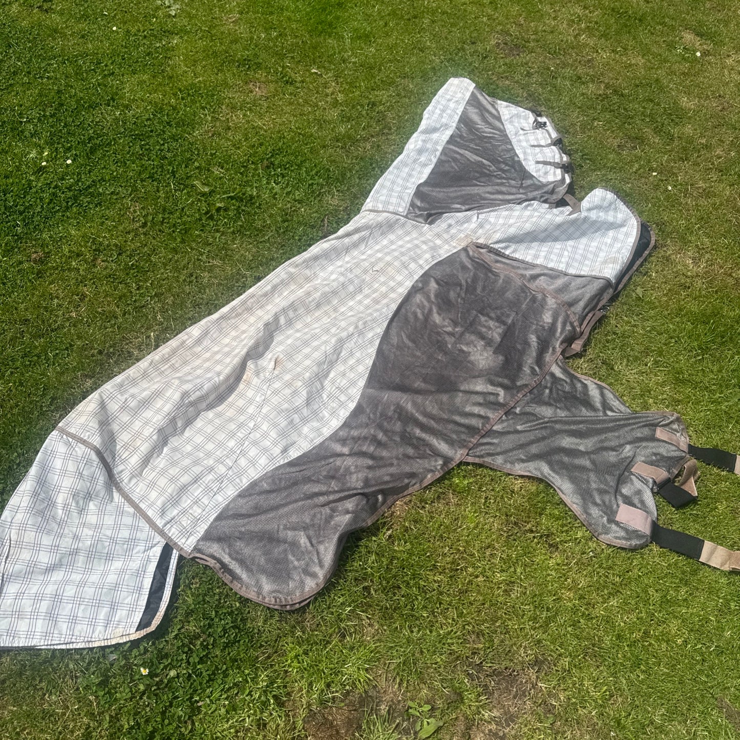Mark Todd Summer Fly Combo Sheet Rug 6’0 Second Hand Horse Cob Tack
