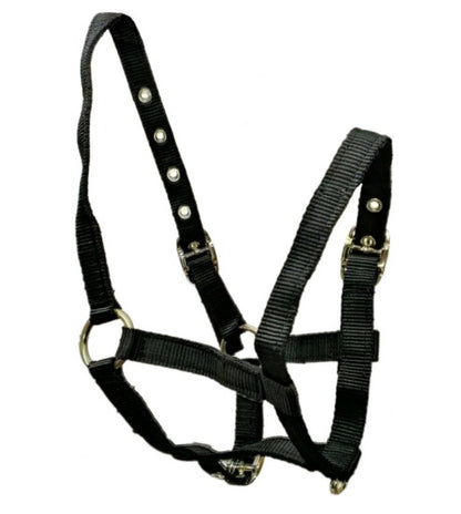 STS Foal Headcollar