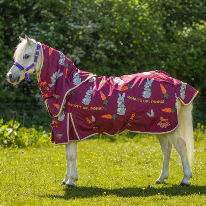 NEW Ponie Bunnies and Carrots 50g Dual Rug & 5-Point Neck Turnout Se