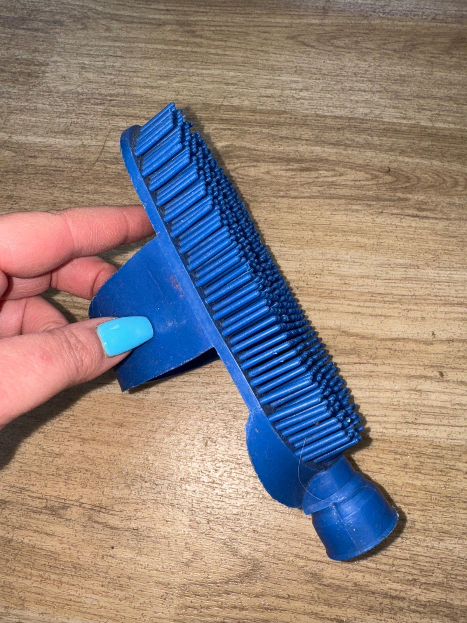 Plastic Curry Brush - Hose Wash Down