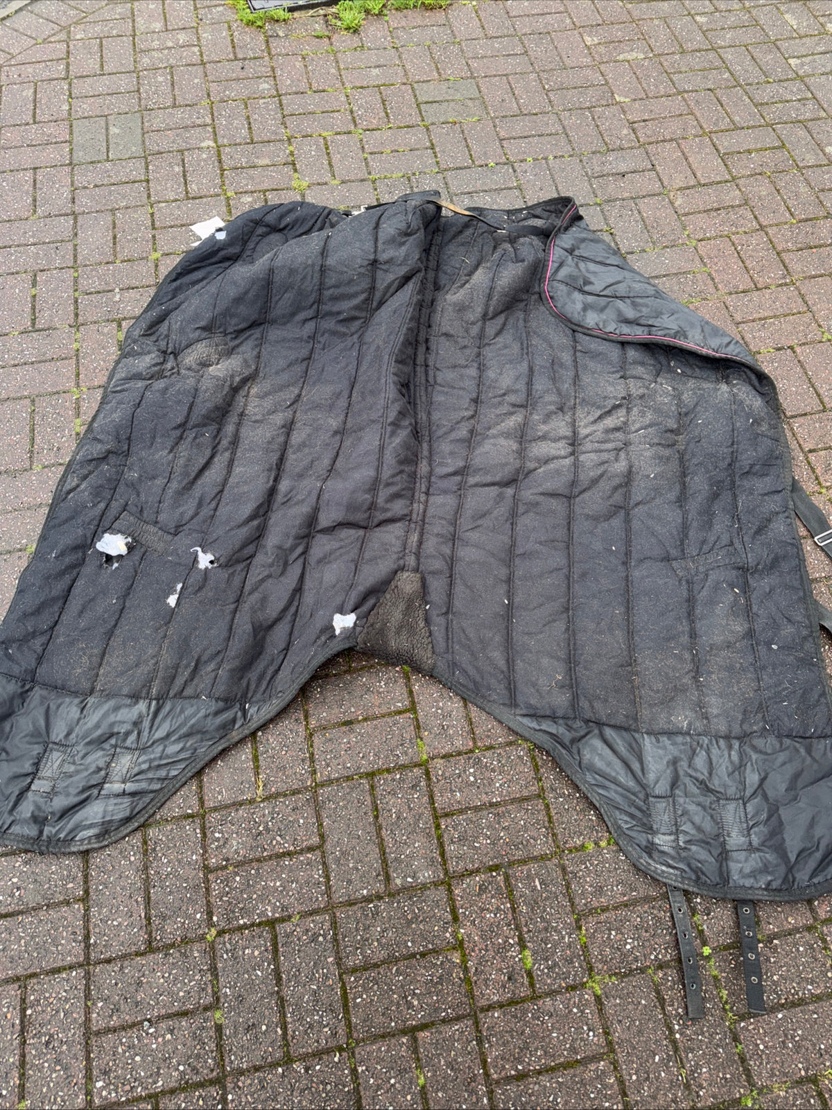 Holybrook 200gm 5’9 Stable Rug / Free Postage