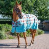 Gallop TROJAN Ponie Berries & Cherries Light Turnout