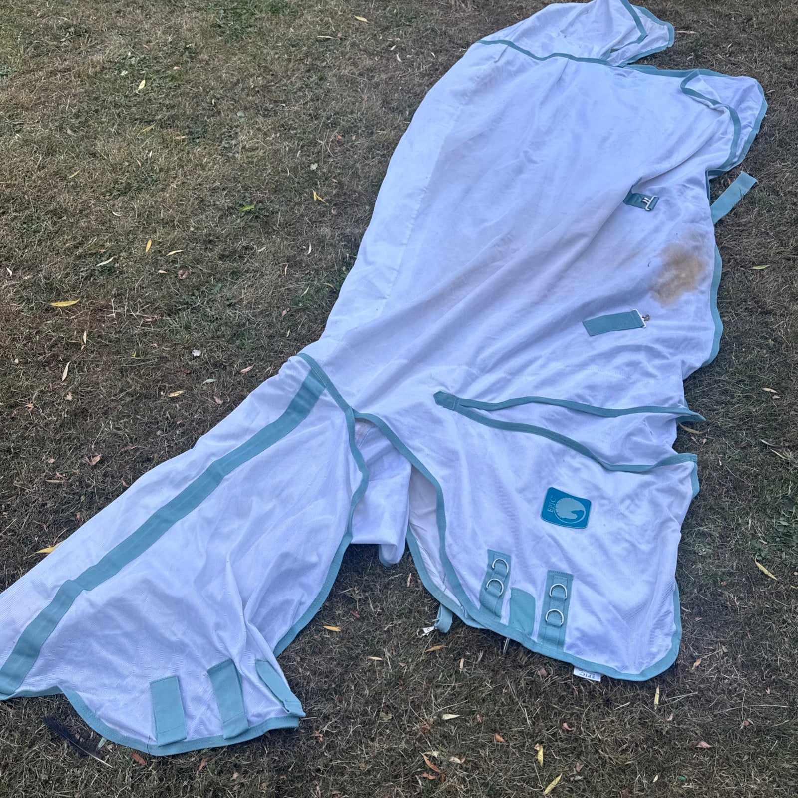 Epic Big Horse Rug Shop Fly Rug 7’6