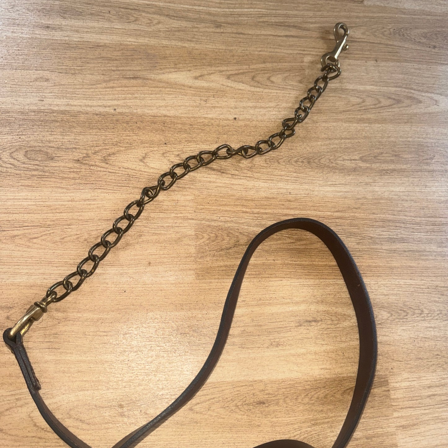 Jeffries Havana Brown English Leather Inhand Lead Wide Show Showing Horse #11