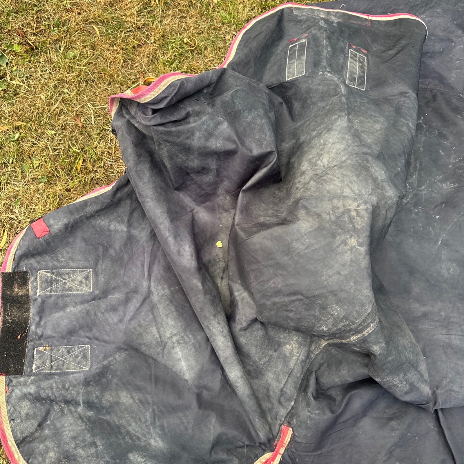 Shires Tempest 6’9 No Fill Turnout Combo Rug