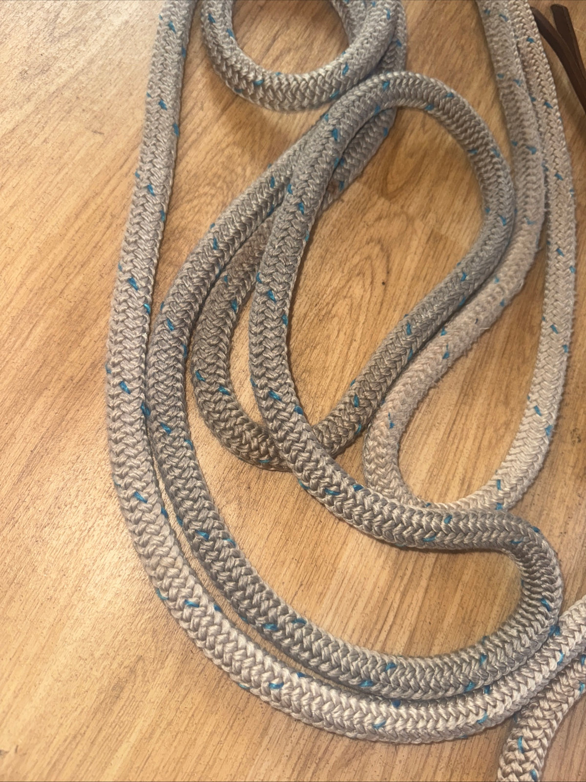 Genuine Parrelli 22ft Training Line - Natural Horsemanship #22