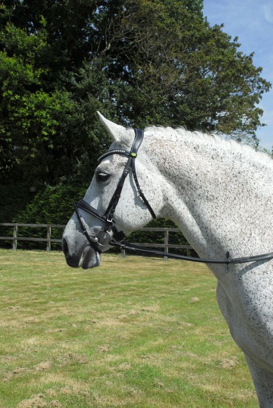 Rhinegold Italian Leather Anatomical Bridle With Flash Noseband