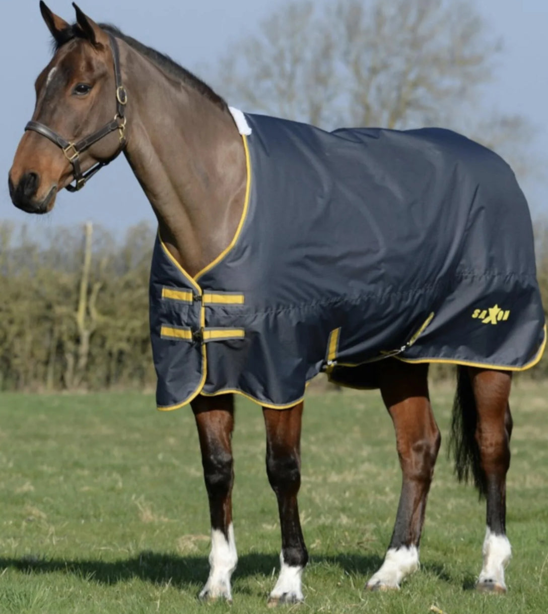 Saxon Defiant 600D Standard Neck Lite 0gm Turnout Rug