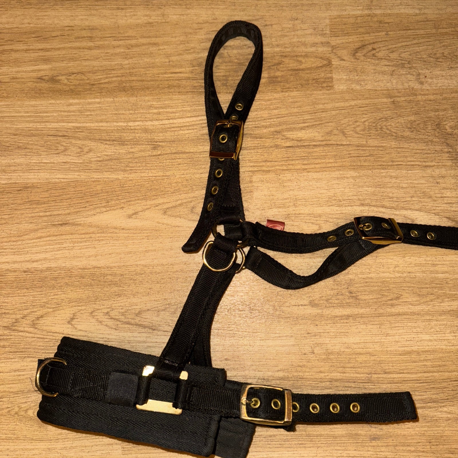 GENUINE Equiami Cob Size Lunging Cavason - FREE Postage