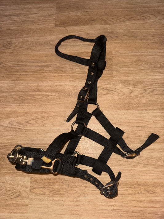 Cob Soft Web Lunging Cavesson - Free Post