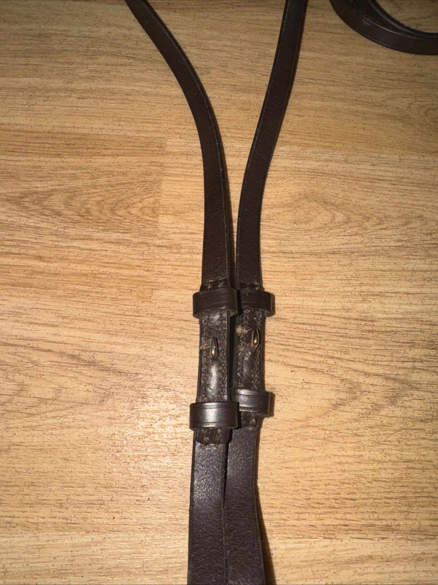 English Leather Havana Pony Size Show Reins #117