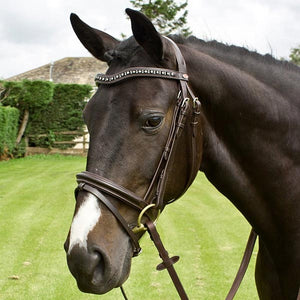 Whitaker Lynton Flash Bridle