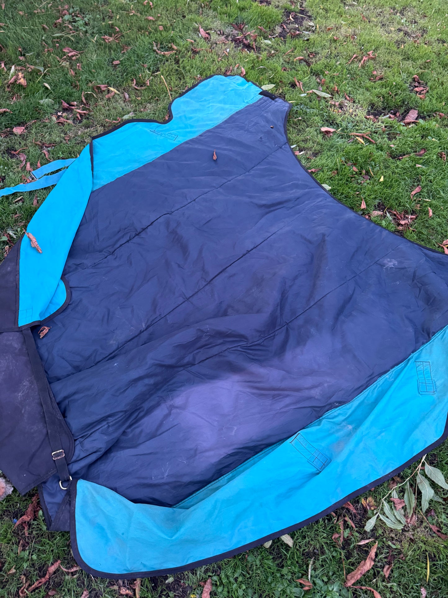 Amigo 6’3 200gm Turnout Rug