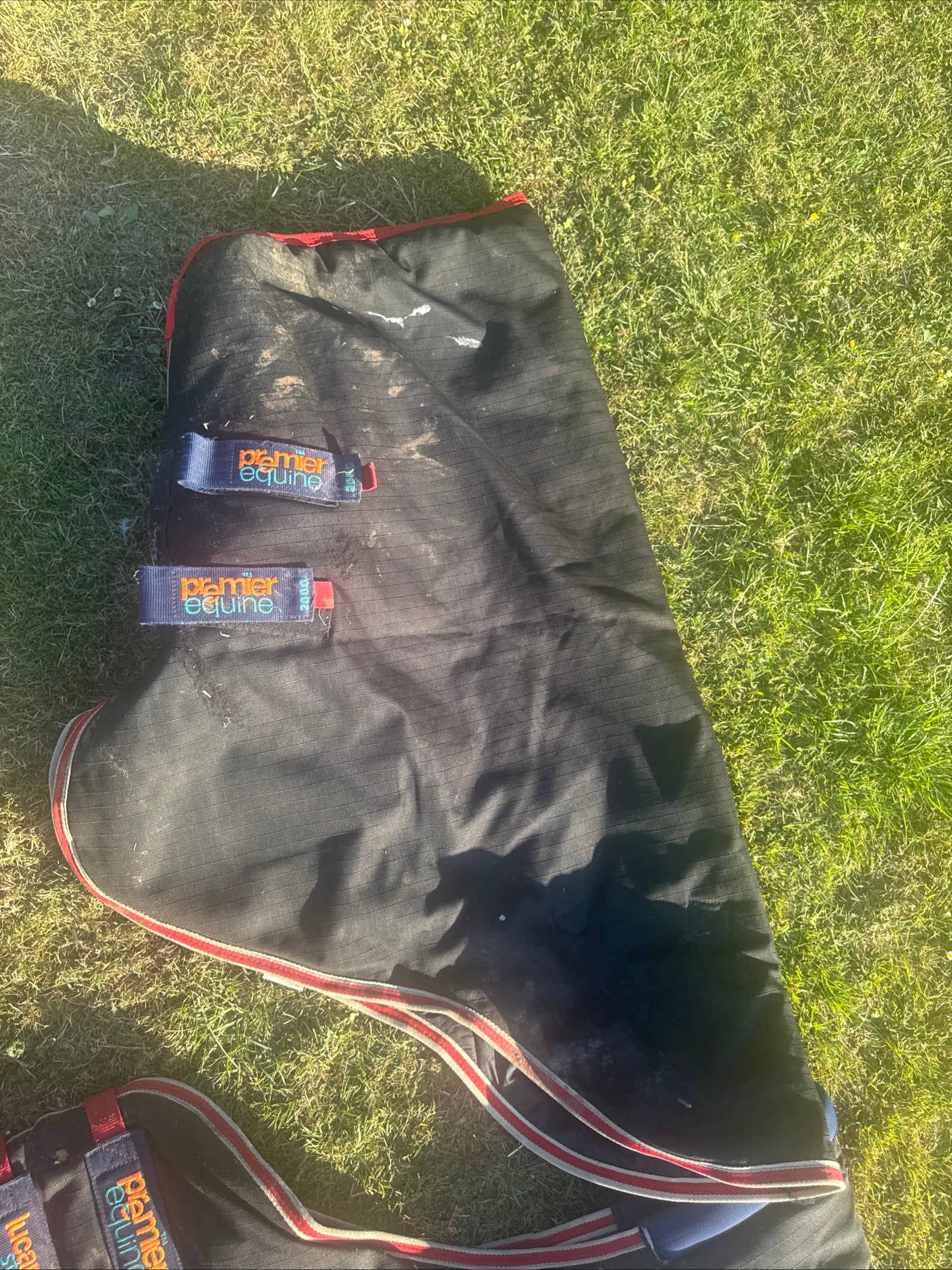 Premier Equine Lucanta Stratus 450gm 6’6 Turnout Rug