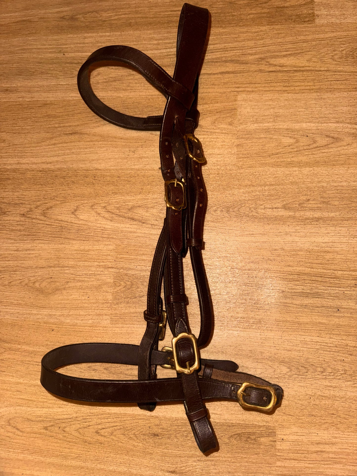 Shires Size Cob Brown Inhand Bridle #10 Showing Show Flat Noseband Hunter