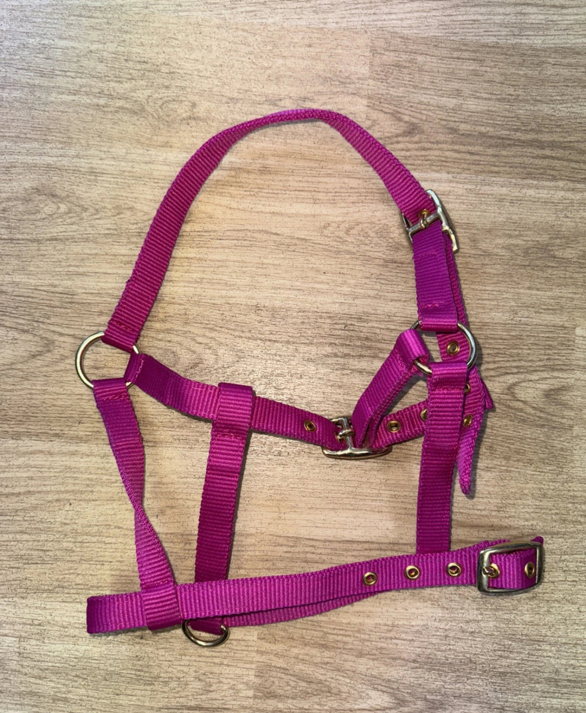 STS Foal Headcollar