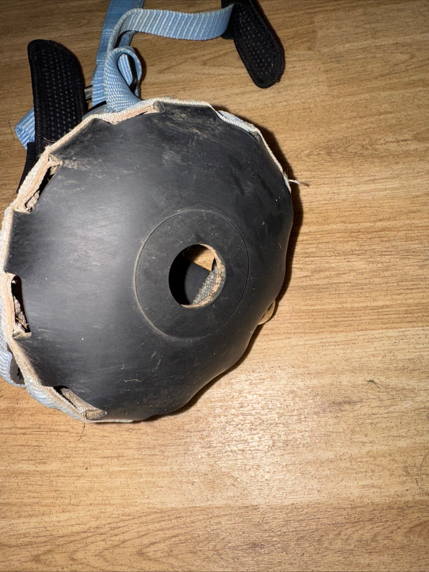 Baby Blue Pony Size Grazing Muzzle - Laminitis Obese #3