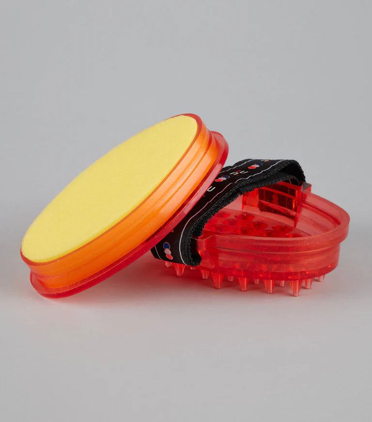 Premier Equine Curry Comb with Integrated Sponge