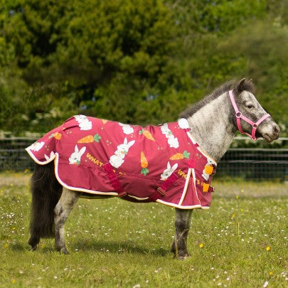NEW Ponie Bunnies and Carrots 50g Dual Rug & 5-Point Neck Turnout Se