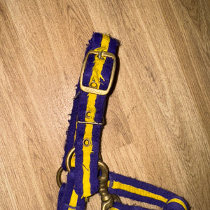 Aerborn Purple / Yellow Small Pony Headcollar
